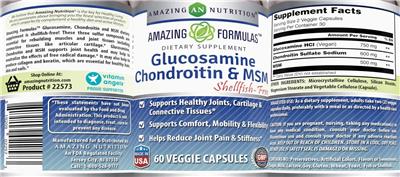 Photo of the AN Amazing Nutrition Amazing Formulas Glucosamine Chondroitin & MSM label