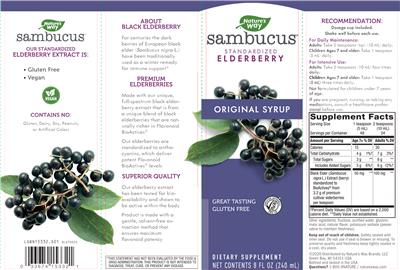 Photo of the Nature's Way Sambucus Original Syrup label