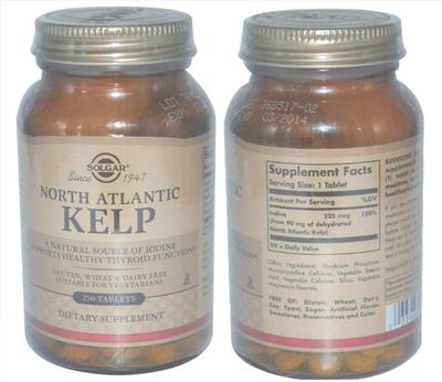 North Atlantic Kelp