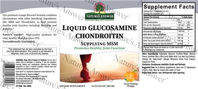 Liquid Glucosamine Chondroitin Great Tasting Orange