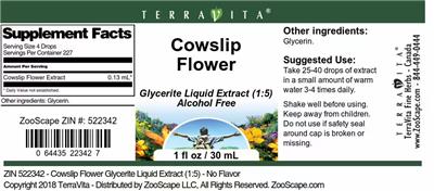 Cowslip Flower