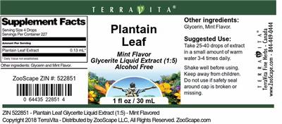 Plantain Leaf Mint Flavor