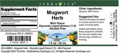 Mugwort Herb Mint Flavor