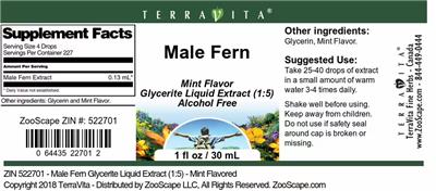 Male Fern Mint Flavor