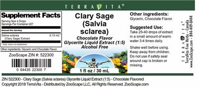 Clary Sage (Salvia sclarea) Chocolate Flavor