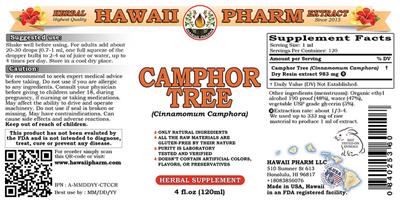 Camphor Tree