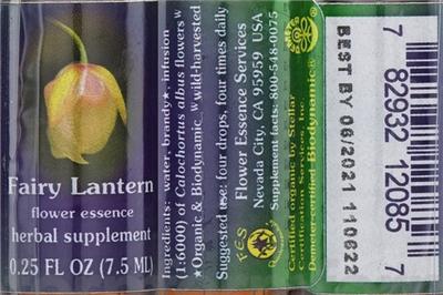 Photo of the Flower Essence Services Fairy Lantern Flower Essence label