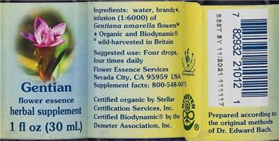 Photo of the Flower Essence Services Gentian Flower Essence label