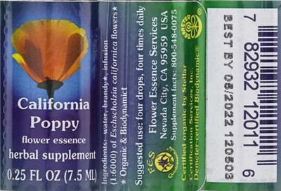 California Poppy Flower Essence