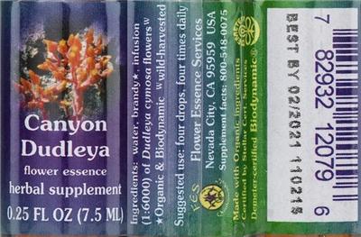 Photo of the Flower Essence Services Canyon Dudleya Flower Essence label