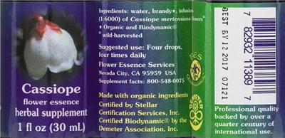 Photo of the Flower Essence Services Cassiope Flower Essence label