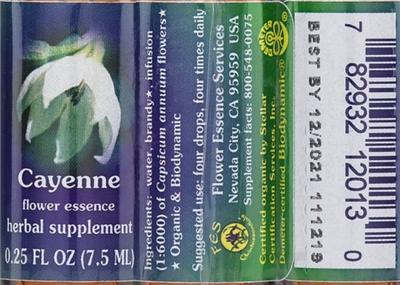 Photo of the Flower Essence Services Cayenne Flower Essence label