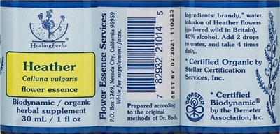 Heather Flower Essence