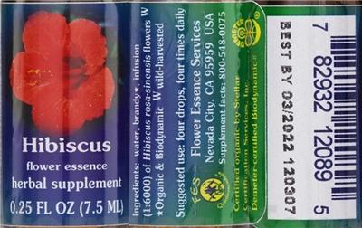 Hibiscus Flower Essence