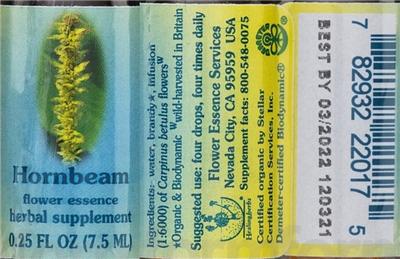 Hornbeam Flower Essence