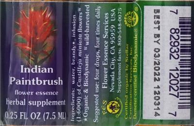 Photo of the Flower Essence Services Indian Paintbrush Flower Essence label