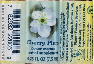 Cherry Plum Flower Essence