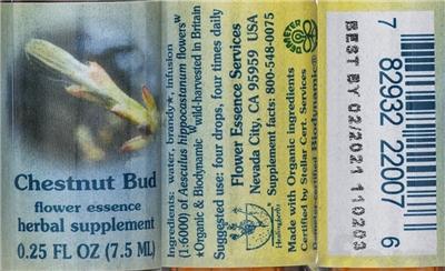 Photo of the Flower Essence Services Chestnut Bud Flower Essence label