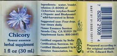 Chicory Flower Essence
