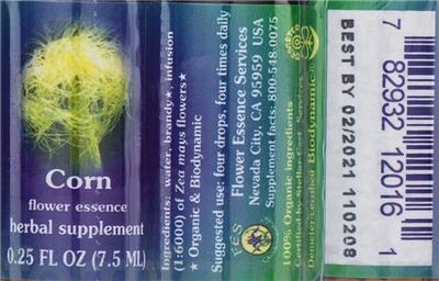 Photo of the Flower Essence Services Corn Flower Essence label