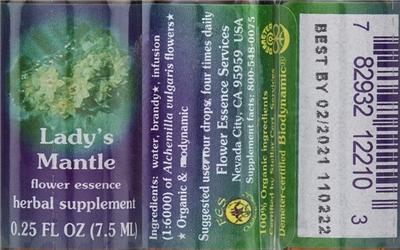 Lady's Mantle Flower Essence