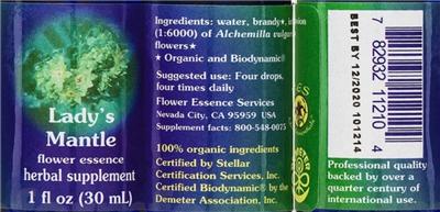 Lady's Mantle Flower Essence