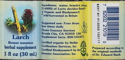 Larch Flower Essence