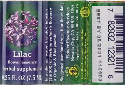 Lilac Flower Essence