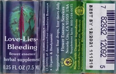 Love-Lies-Bleeding Flower Essence