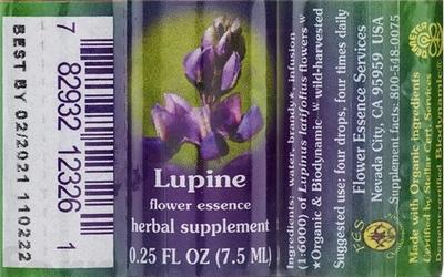 Photo of the Flower Essence Services Lupine Flower Essence label