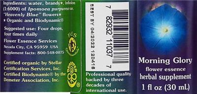 Morning Glory Flower Essence