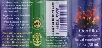 Ocotillo Flower Flower Essence