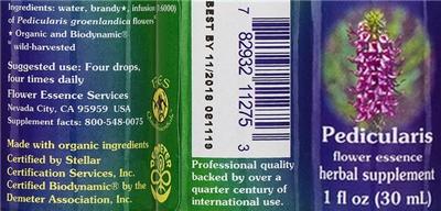 Pedicularis Flower Essence