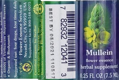 Photo of the Flower Essence Services Mullein Flower Essence label