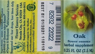 Oak Flower Essence