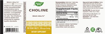 Photo of the Nature's Way Choline 500 mg label
