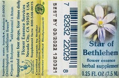 Star of Bethlehem Flower Essence