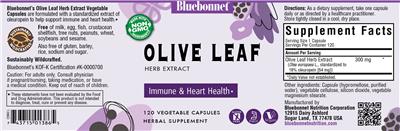 Olive Leaf Herb Extract