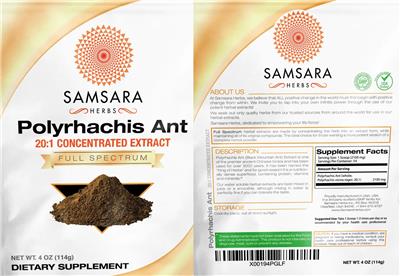 Polyrhachis Ant 20:1 Concentrated Extract