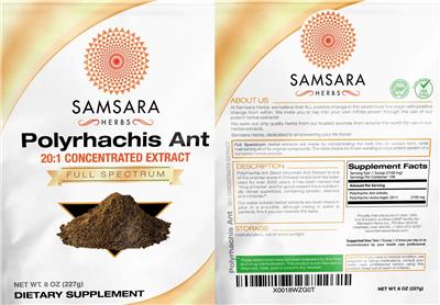 Polyrhachis Ant 20:1 Concentrated Extract