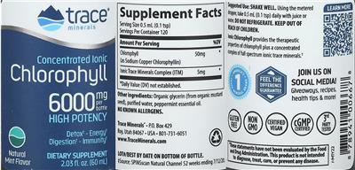 Concentrated Ionic Chlorophyll 6000 mg Natural Mint Flavor