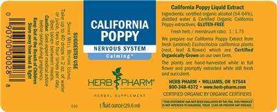 California Poppy