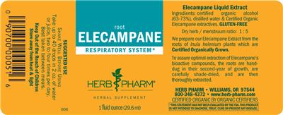 Elecampane