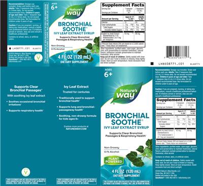 Photo of the Nature's Way Bronchial Soothe label