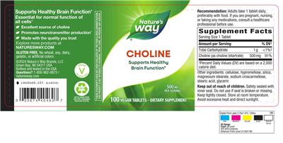 Photo of the Nature's Way Choline 500 mg label