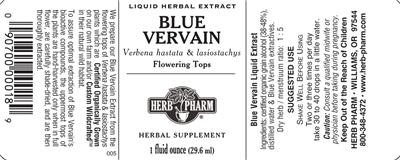 Blue Vervain