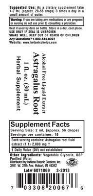 Astragalus Root