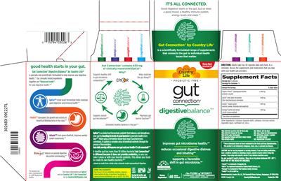 Photo of the Country Life Gut Connection Digestive Balance label