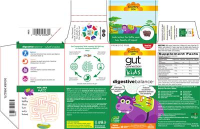 Photo of the Country Life Gut Connection Kids Digestive Balance Sweet & Sour label
