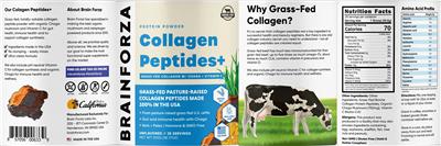 Photo of the Brain Forza Collagen Peptides Unflavored label